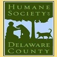 Delaware county humane society ohio adventist health jobs illinois